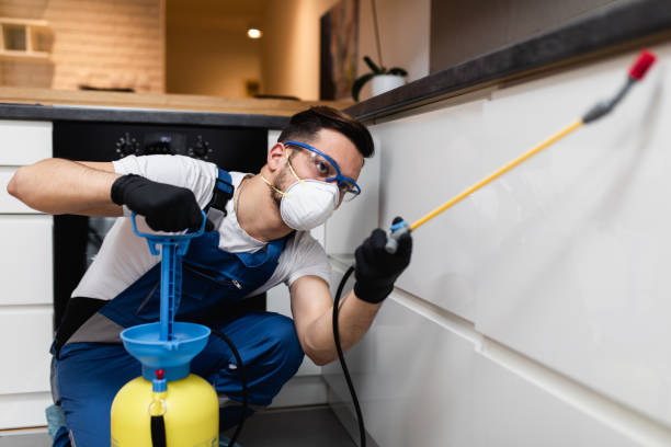 Best Termite Control Services  in Plymouth, IN