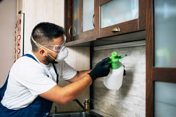 Best Pest Prevention Services  in Plymouth, IN