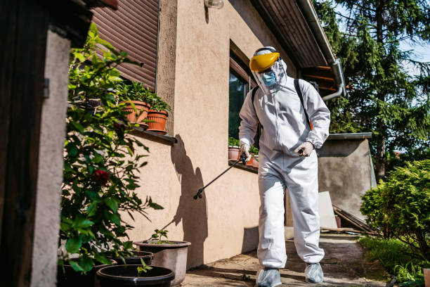 Best Best Pest Control Companies  in Plymouth, IN