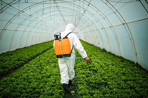 Best Best Pest Control Companies  in Plymouth, IN