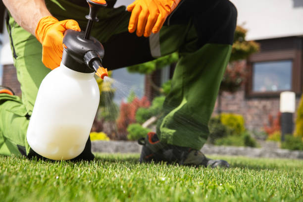 Best Mosquito Control Services  in Plymouth, IN
