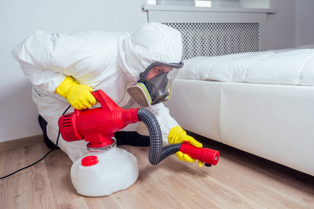 Wasp Removal Services in Plymouth, IN