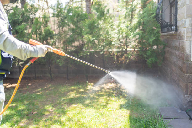Best Affordable Pest Control Services  in Plymouth, IN