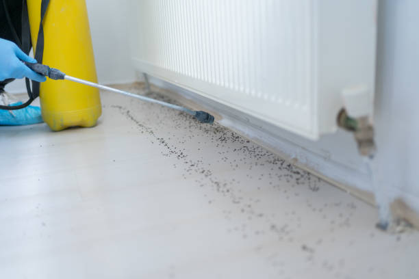 Best Wildlife Control Services  in Plymouth, IN