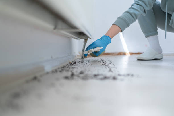 Professional Pest Control in Plymouth, IN